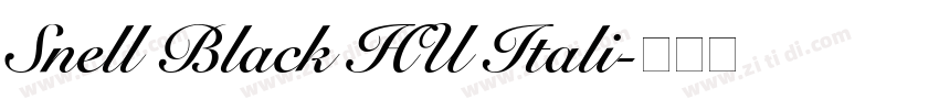 Snell Black HU Itali字体转换